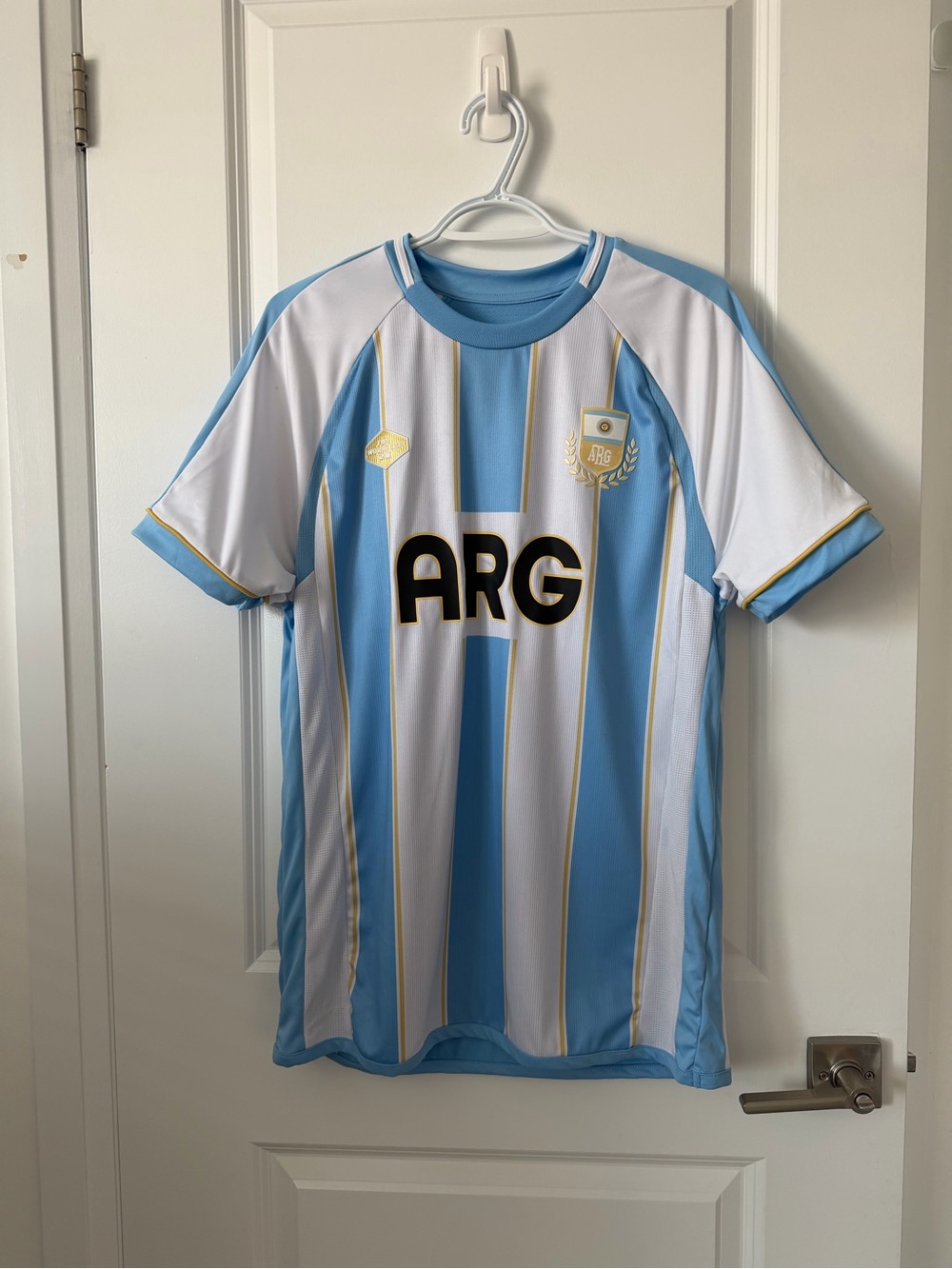 Official FIFA 2026 Argentina Striped Soccer Jersey